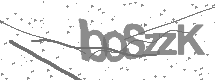 visual captcha